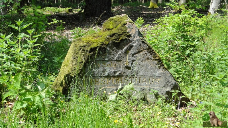 Ritterstein Nr. 126-2b 15 Schr. Altes Forsthaus.JPG - Ritterstein Nr.126 15 Schr. Altes Forsthaus                               